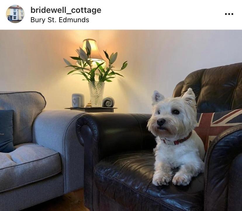 Sweet & Cosy 10 Bridewell Cottage With Parking Available Upon Request Bury St. Edmunds Exterior foto